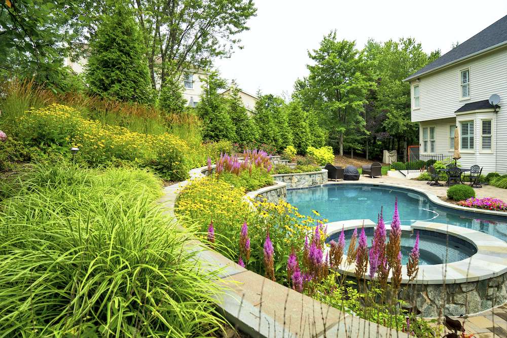 plantings and pool