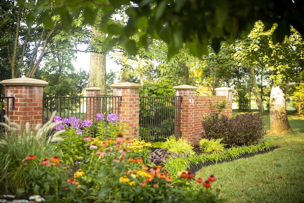 plantings near fence