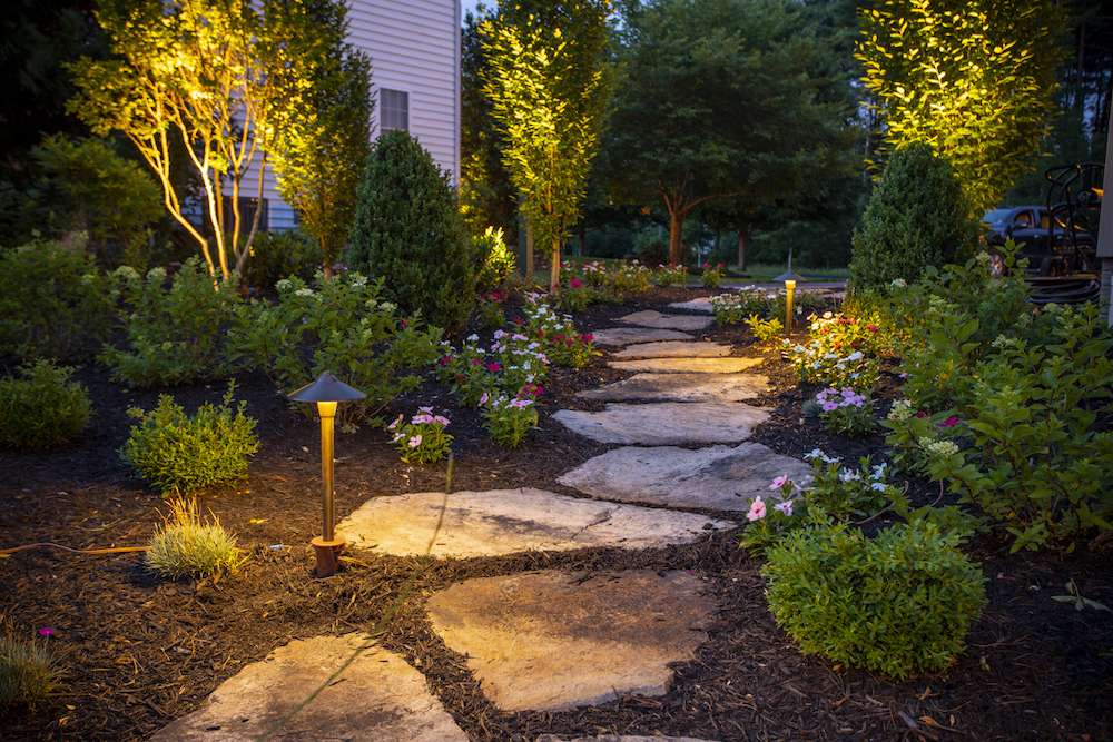 stone walkway with landscape lighting