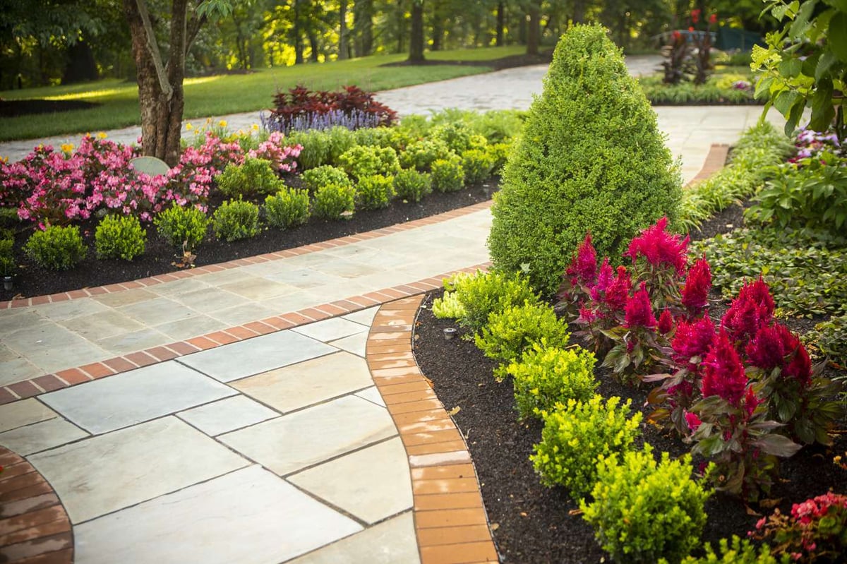 walkway with plantings