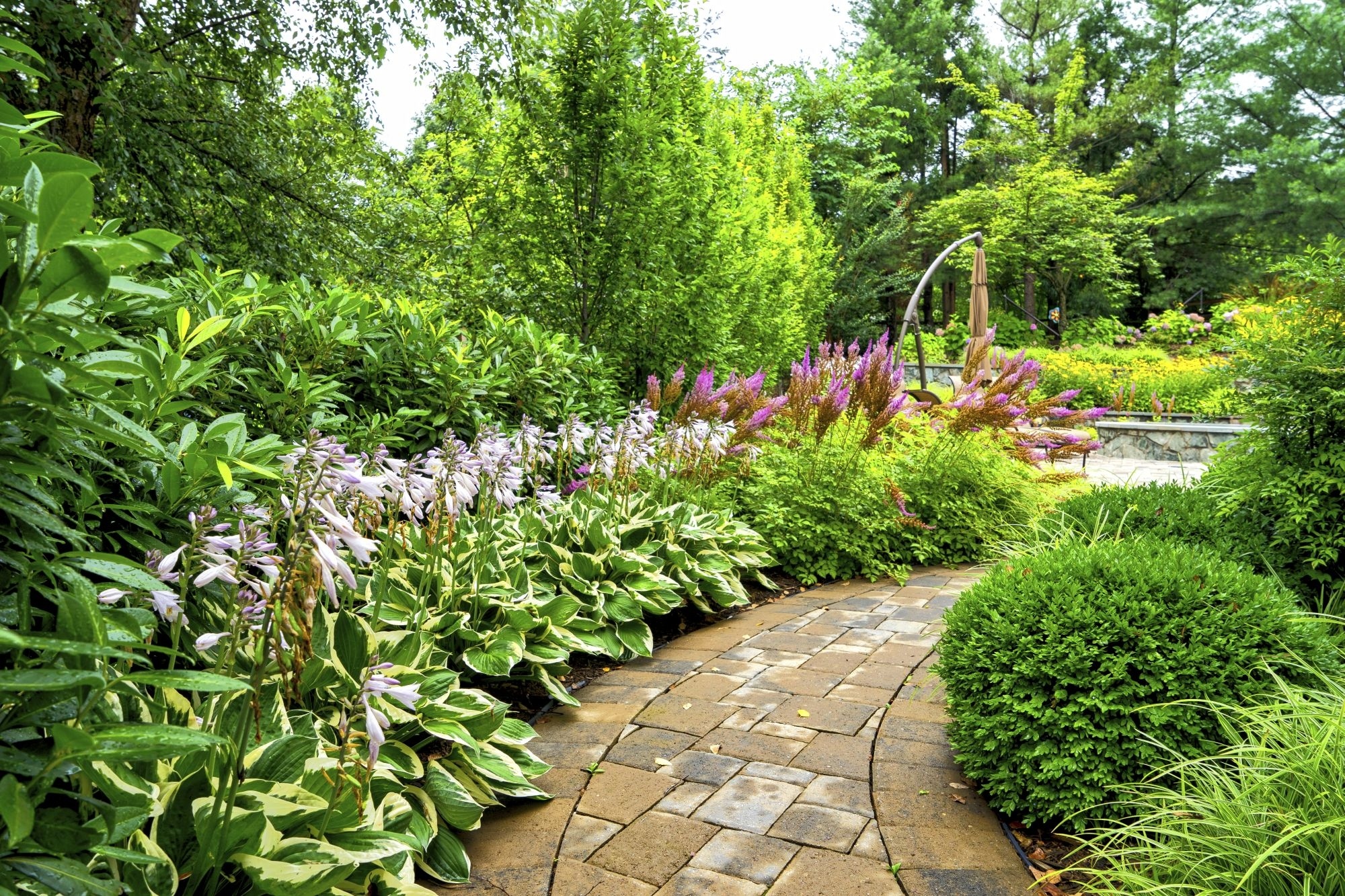 walkway with plantings