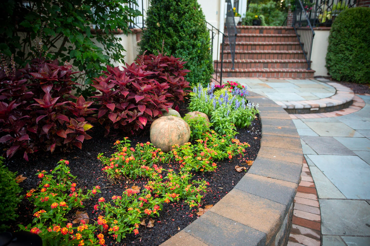 patio and raised landscape bed with plantings