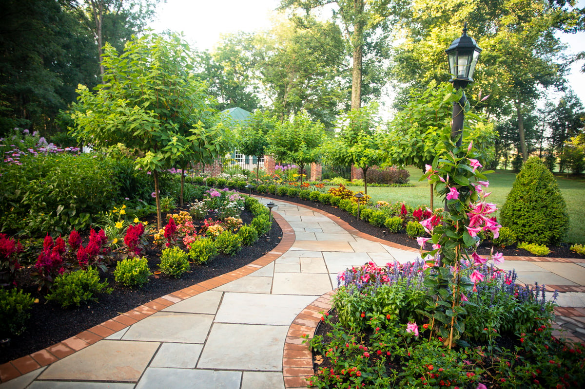 walkway with plantings